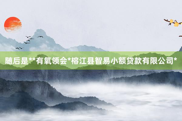 随后是**有氧领会*榕江县智易小额贷款有限公司*
